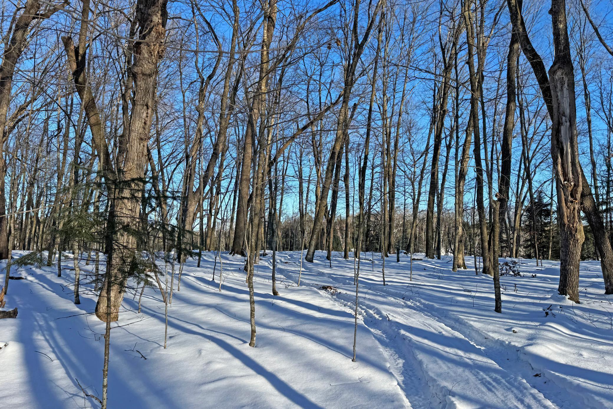 26810 North Hart Lake Road Pengilly, MN 55775 - Photo 62 of 69