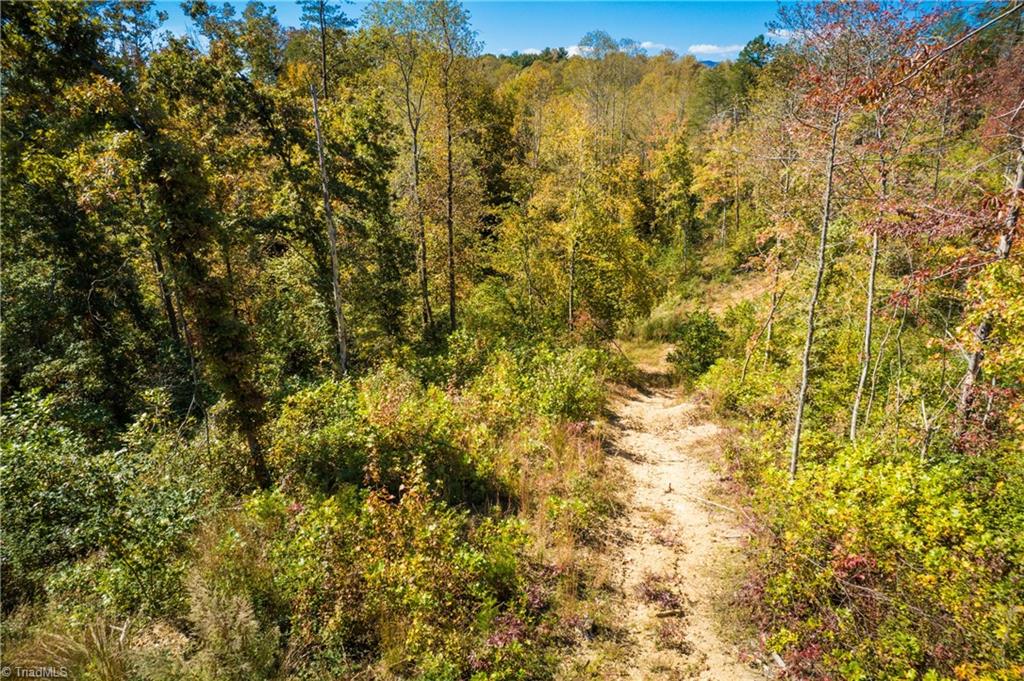 0 Imogene Church Road Mount Airy, NC 27030 - Photo 24 of 40 Gallery Image 24