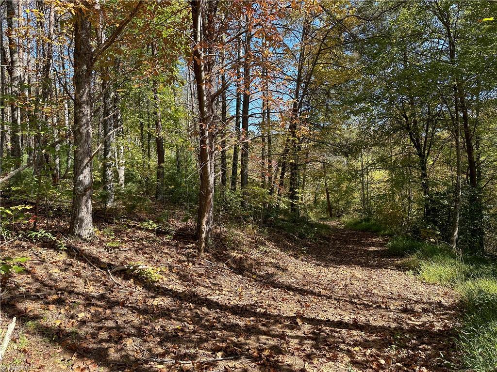 0 Imogene Church Road Mount Airy, NC 27030 - Photo 38 of 40 Gallery Image 38