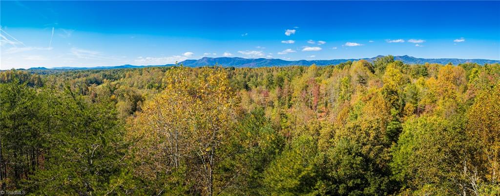 0 Imogene Church Road Mount Airy, NC 27030 - Photo 8 of 40 Gallery Image 8