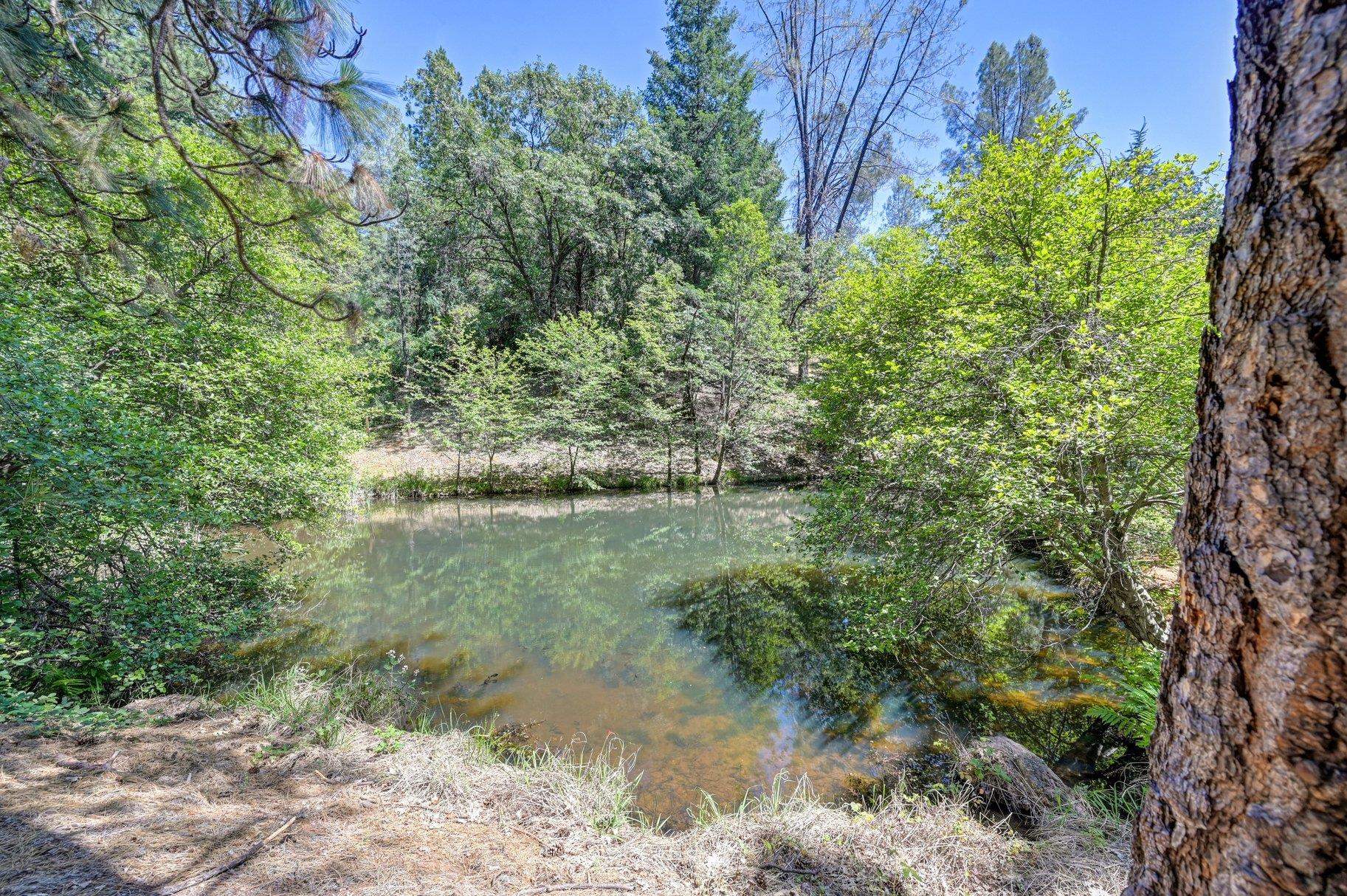 1205 Tokayana Ranch Lane Colfax, CA 95713 - Photo 26 of 28