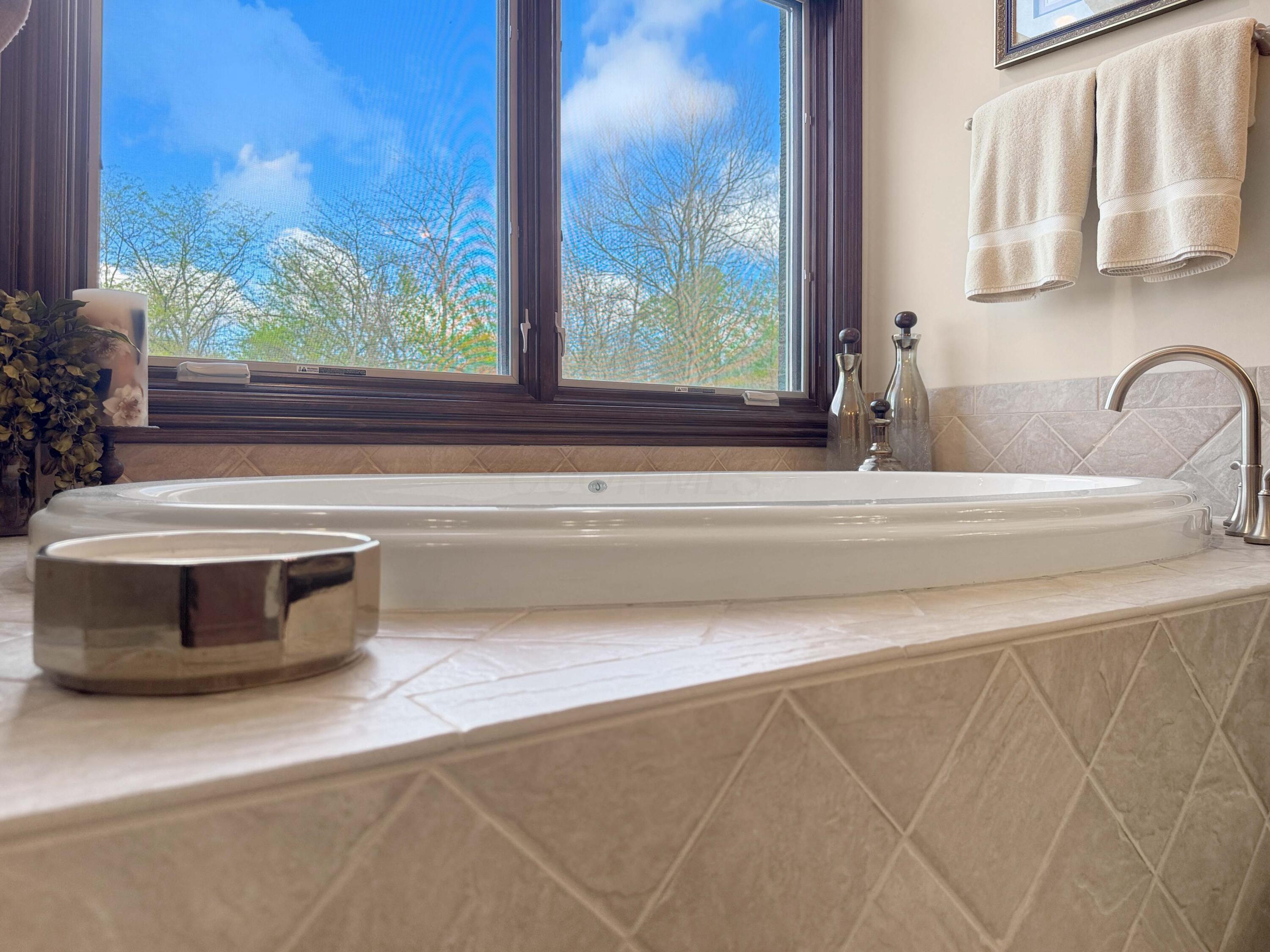 4096 Middle Urbana Road Urbana, OH 43078 - Photo 80 of 148 Owner's Bath