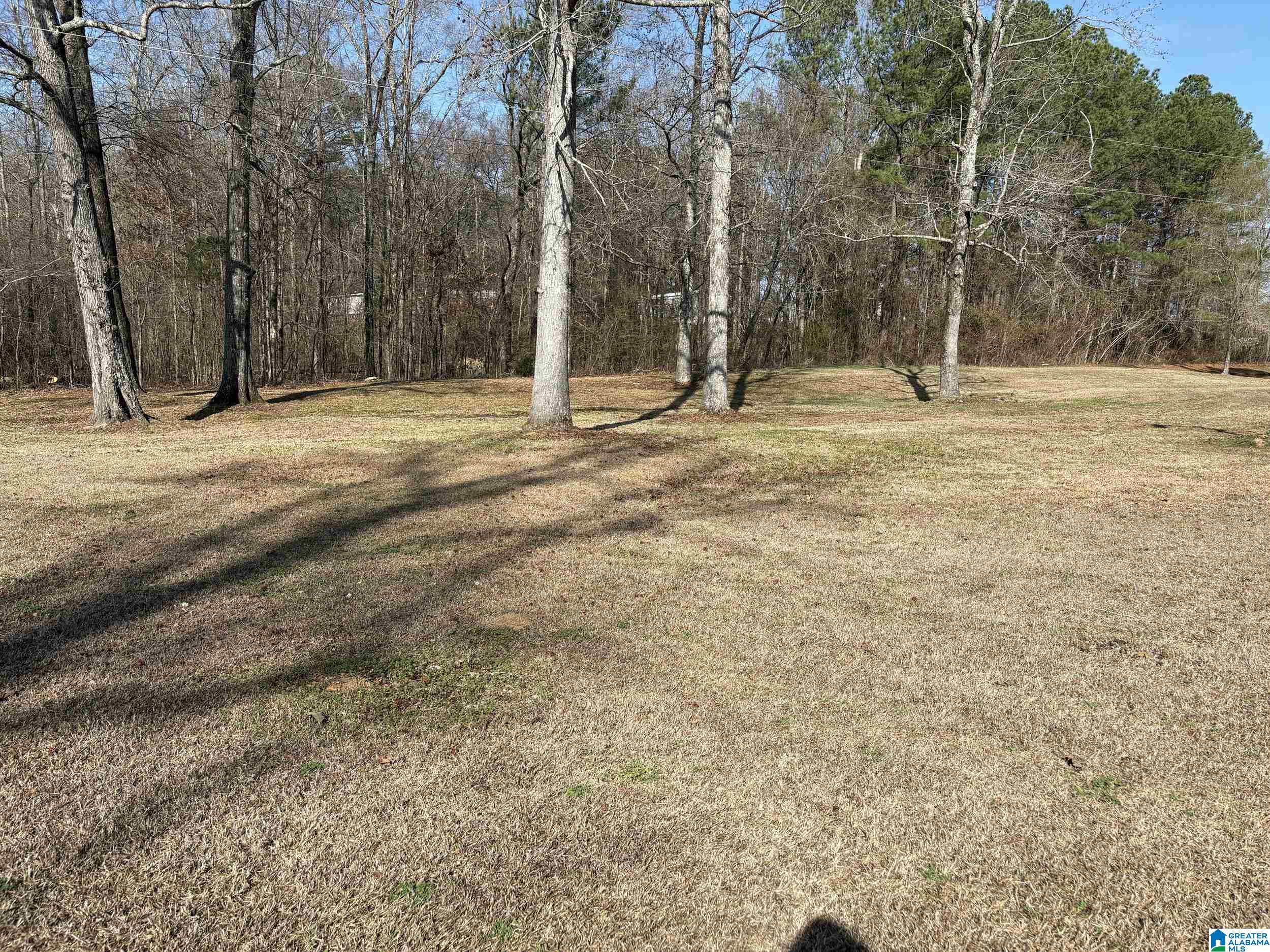 174 Mountain Road Ohatchee, AL 36271 - Photo 15 of 30