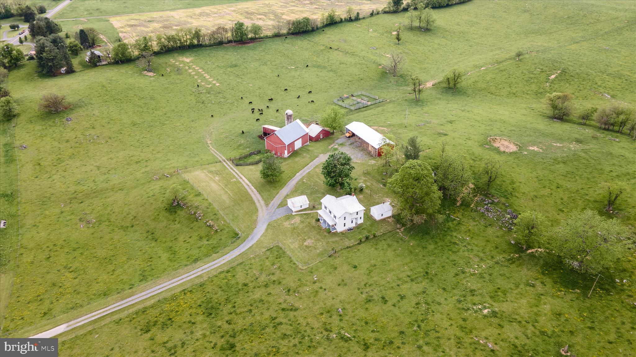 5452 Middle Road Winchester, VA 22602 - Photo 47 of 52 a bathroom with a sink mirror and toilet