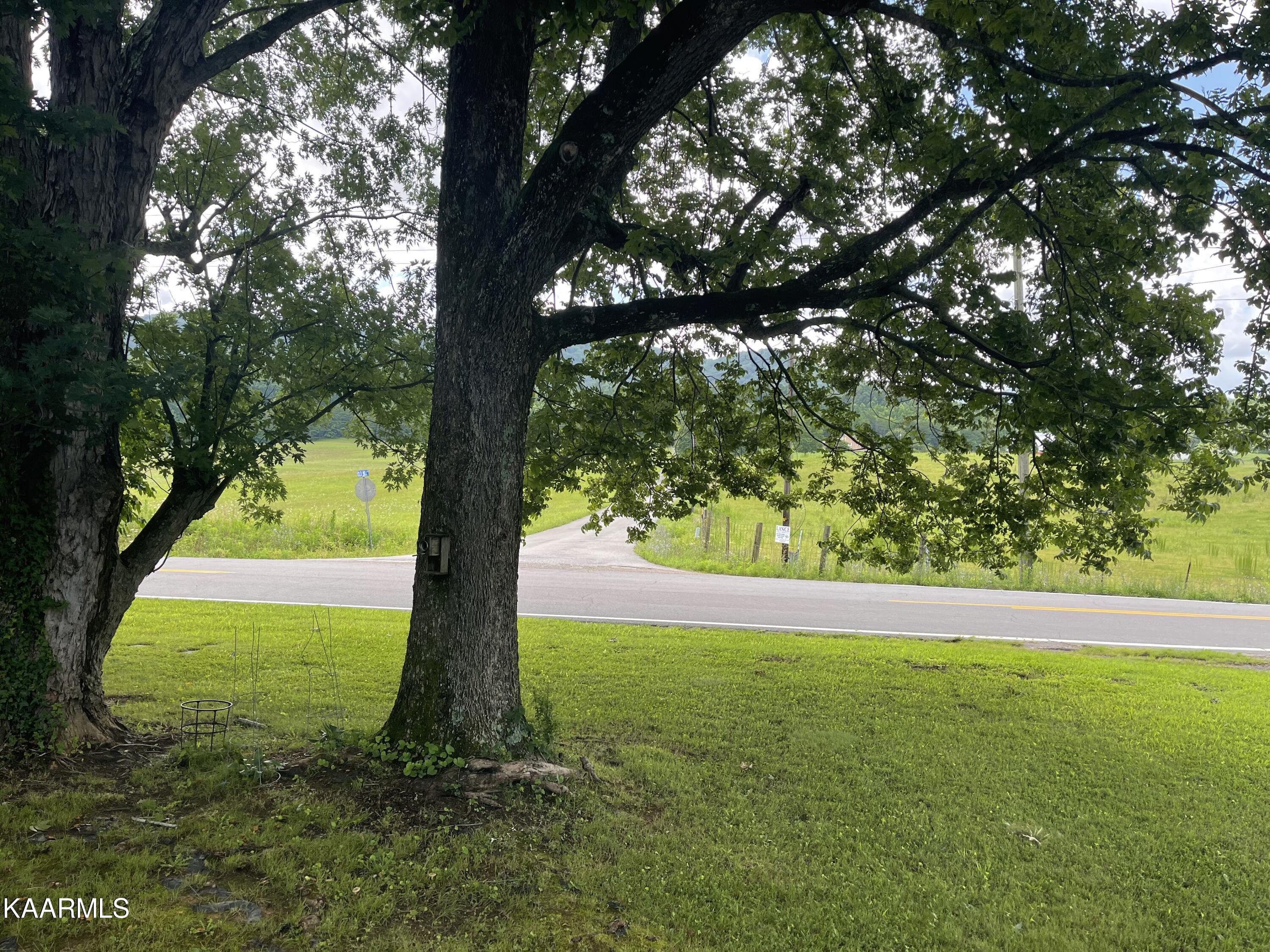 400 Reliance Road Tellico Plains, TN 37385 - Photo 11 of 23 IMG-4600