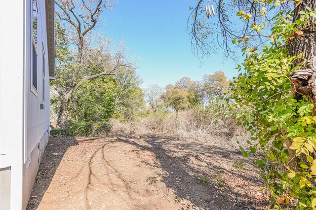 a view of a yard with plants and trees