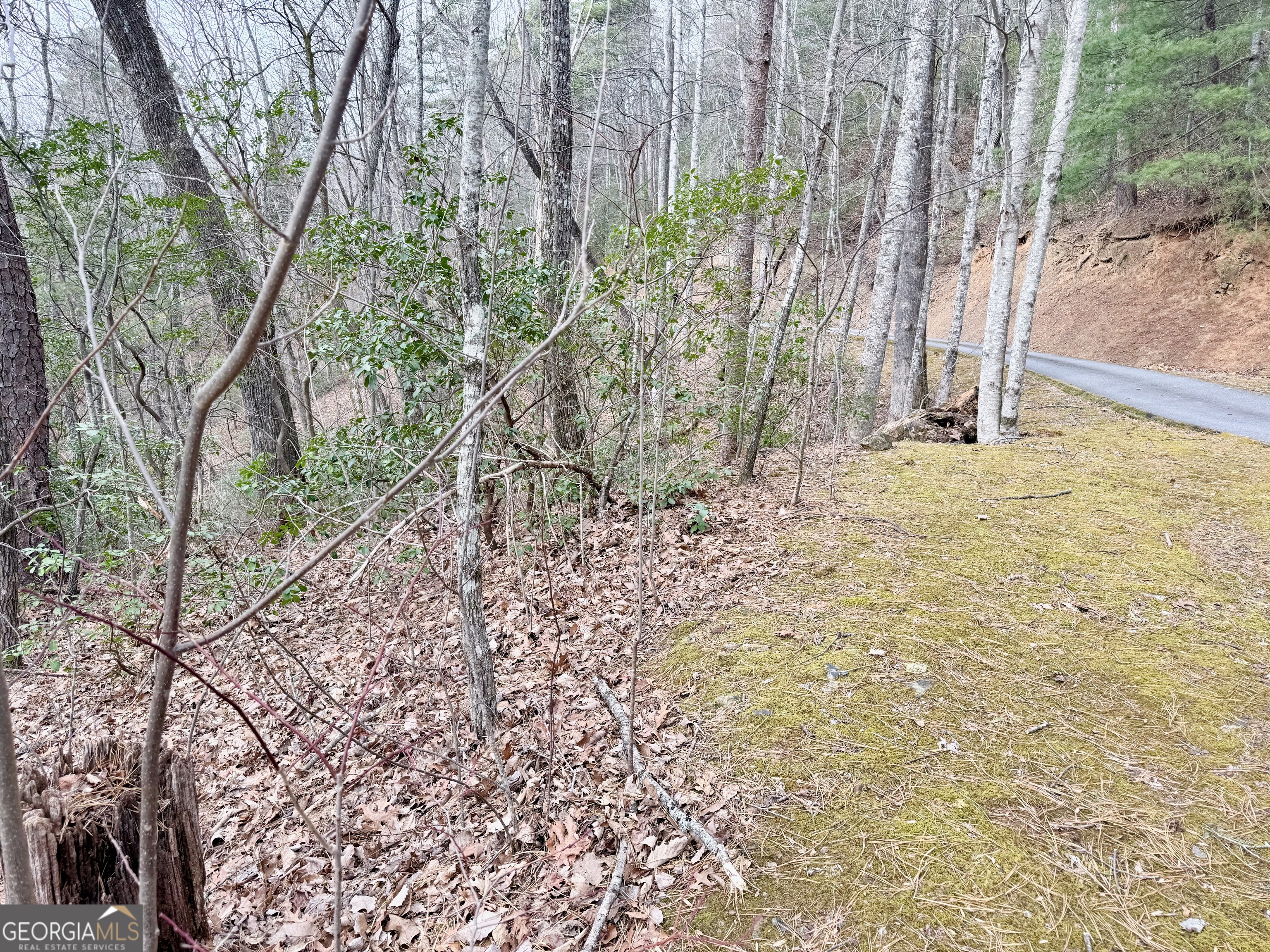 0 Monarch Lane Clayton, GA 30525 - Photo 3 of 5 a view of a yard with large trees