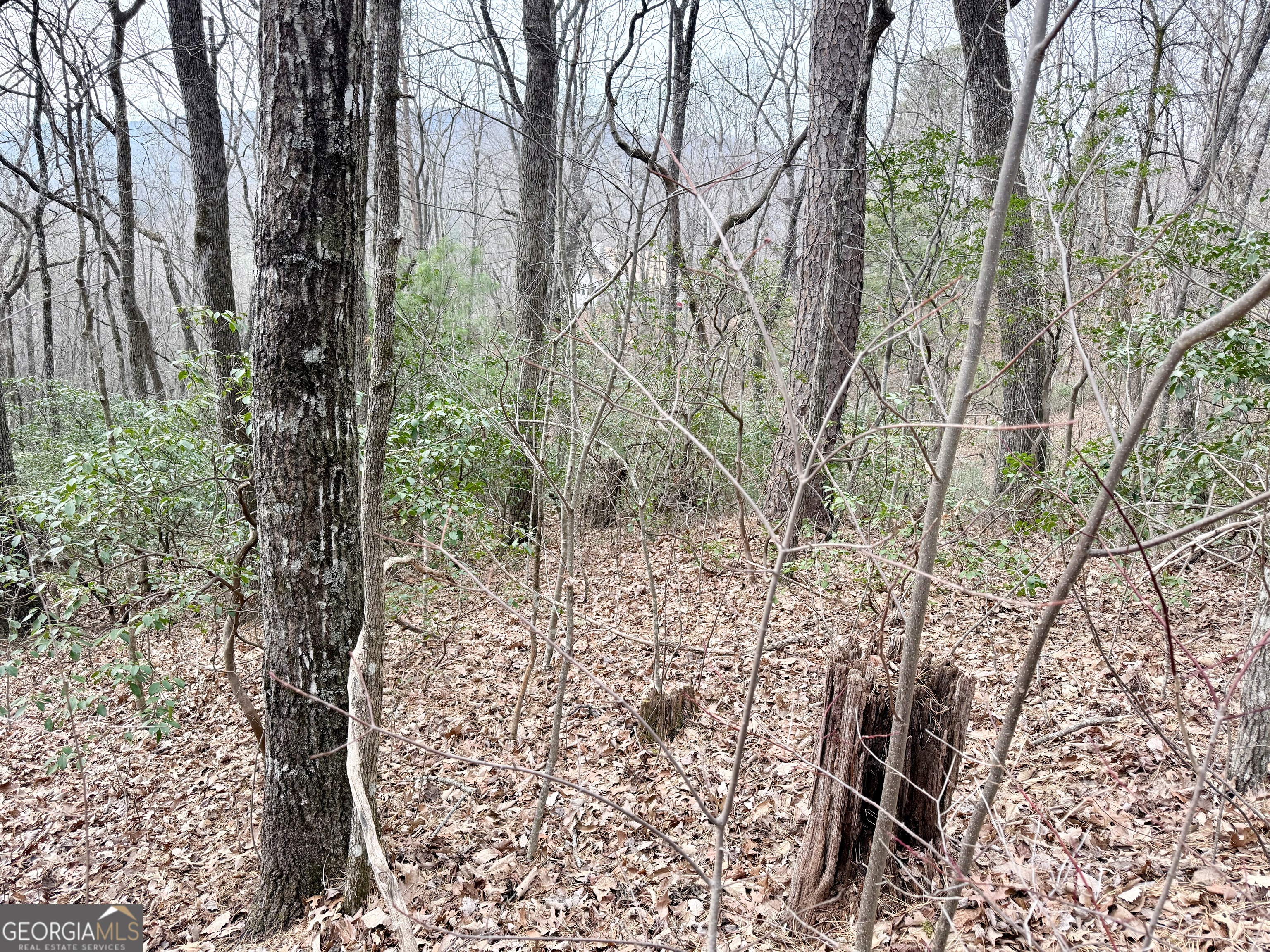 0 Monarch Lane Clayton, GA 30525 - Photo 4 of 5 a view of a yard with large trees