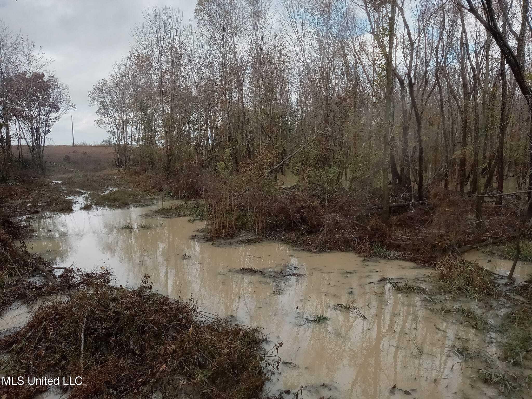 237 King Williams Road Indianola, MS 38751 - Photo 11 of 20 37 - 11