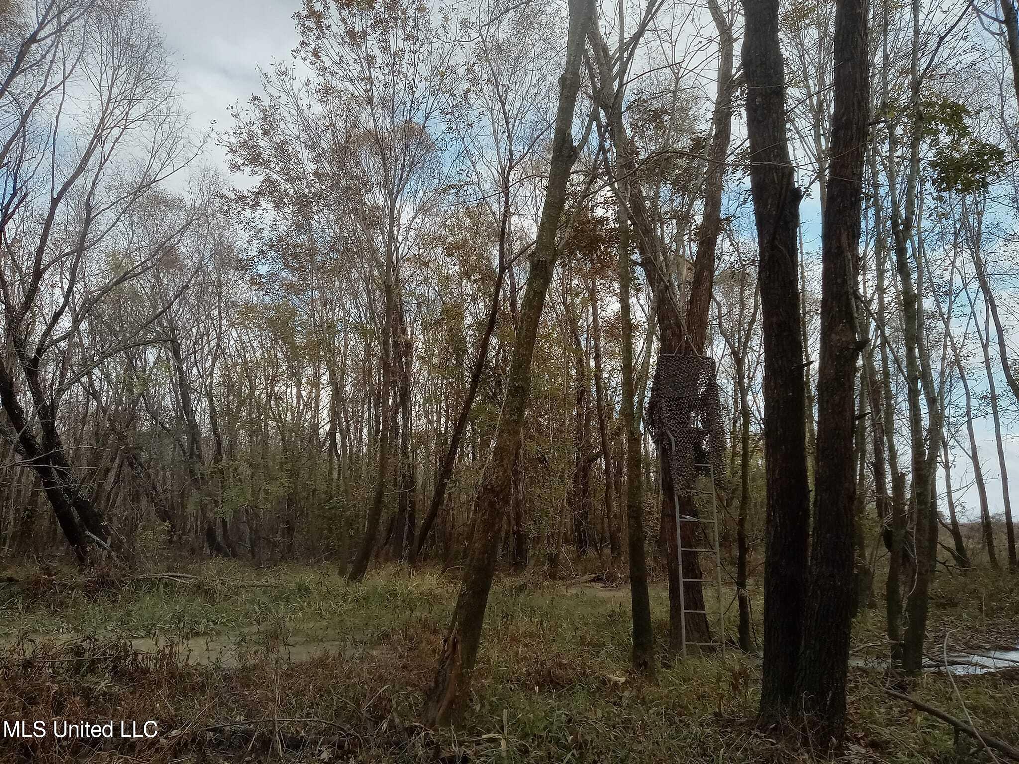 237 King Williams Road Indianola, MS 38751 - Photo 13 of 20 37 - 13