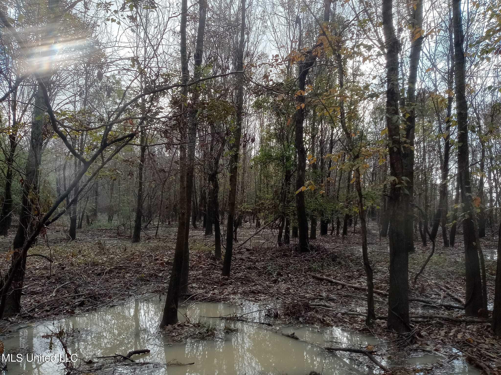 237 King Williams Road Indianola, MS 38751 - Photo 14 of 20 37 - 14