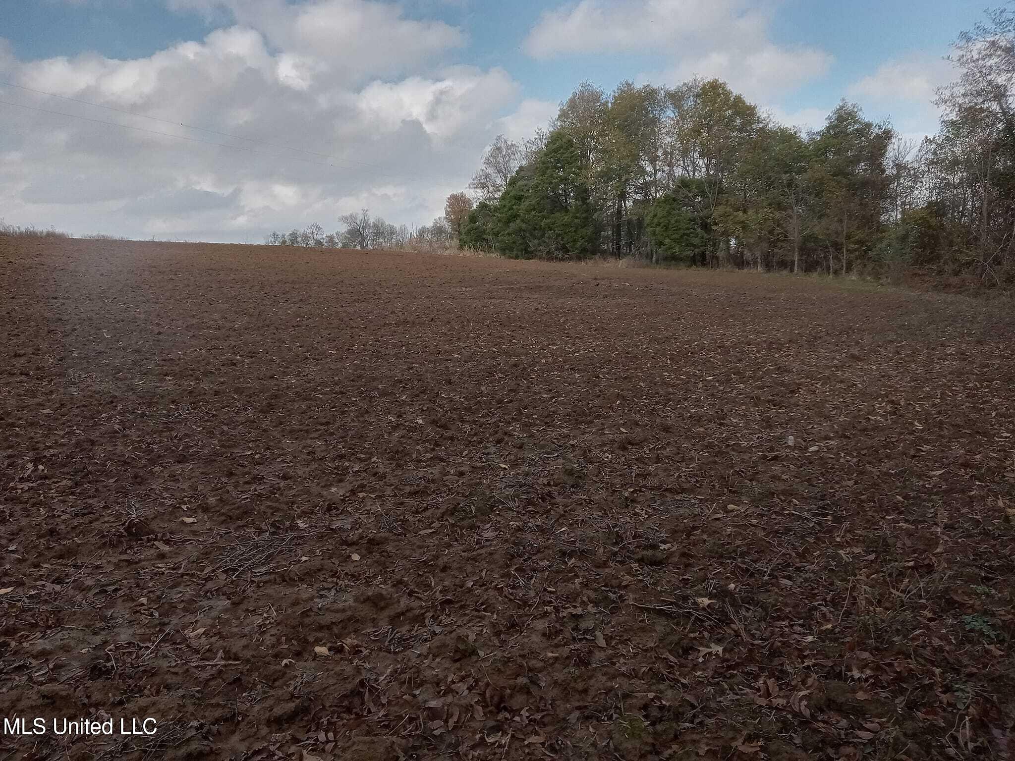 237 King Williams Road Indianola, MS 38751 - Photo 15 of 20 37 - 15