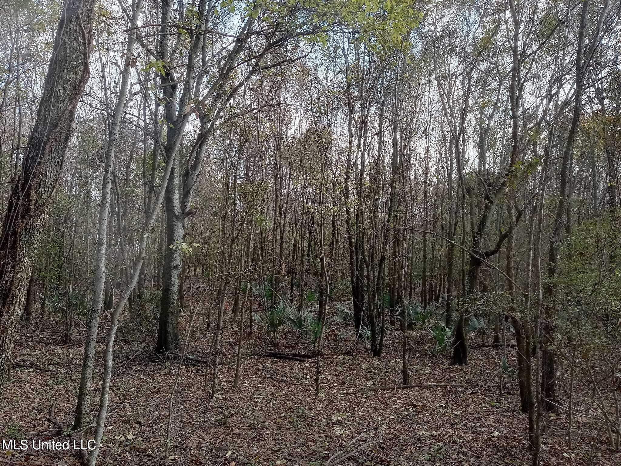 237 King Williams Road Indianola, MS 38751 - Photo 16 of 20 37 - 16