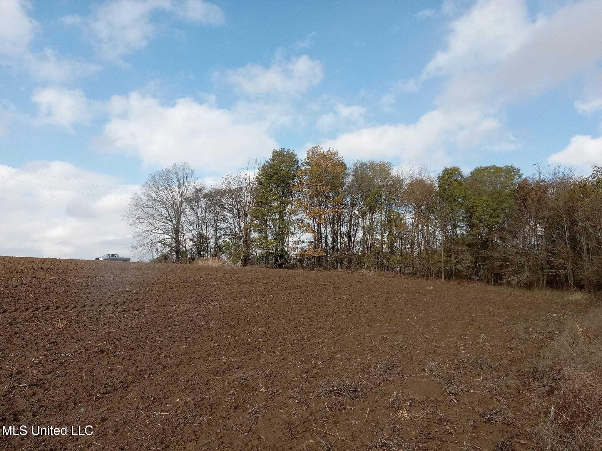 237 King Williams Road Indianola, MS 38751 - Photo 17 of 20 37 - 17