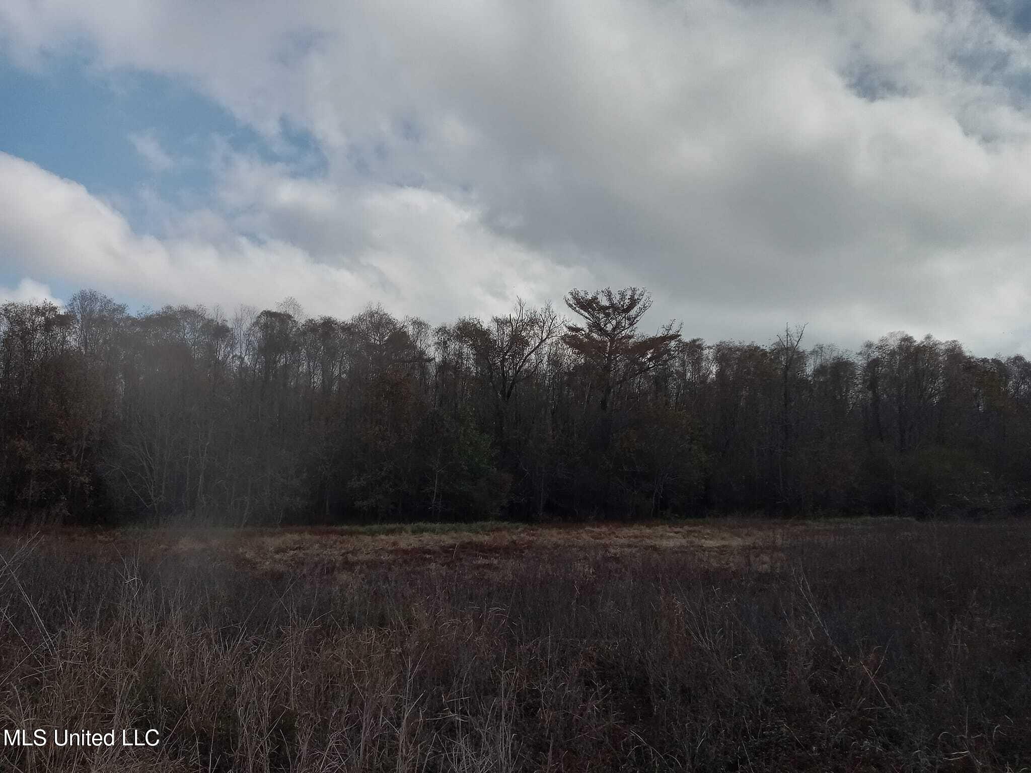 237 King Williams Road Indianola, MS 38751 - Photo 19 of 20 37 - 19