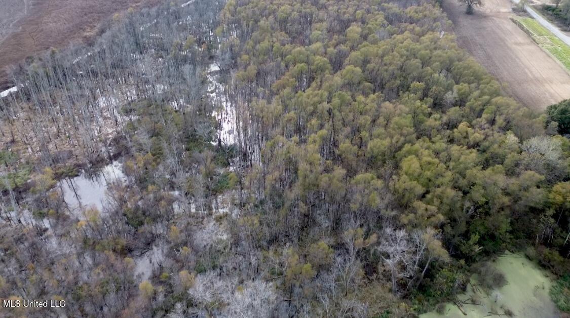 237 King Williams Road Indianola, MS 38751 - Photo 3 of 20 37 - 3