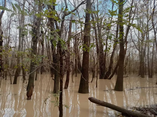 $142,500 | 237 King Williams Road, Indianola, MS 38751