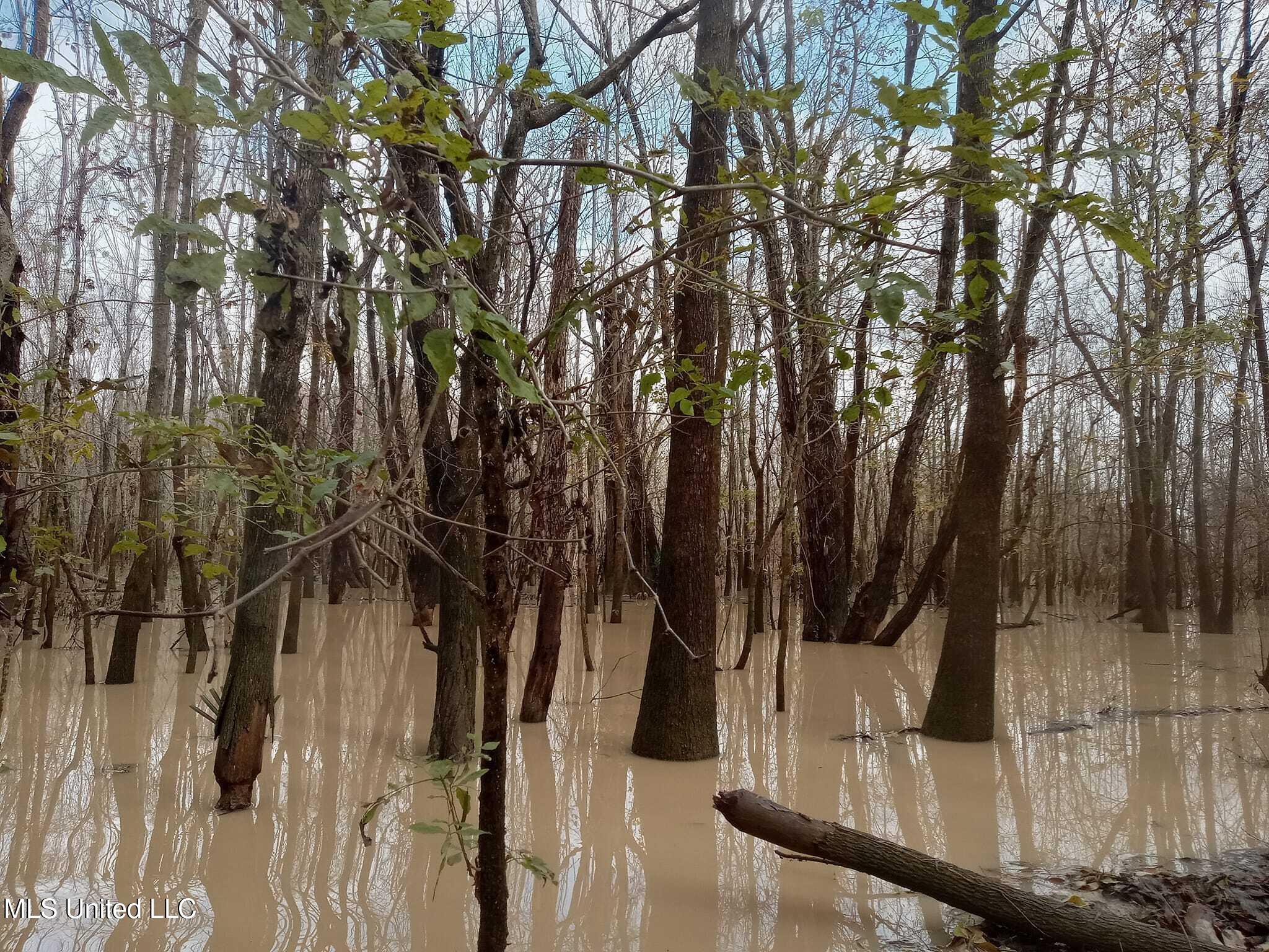 237 King Williams Road Indianola, MS 38751 - Photo 6 of 20 37 - 6