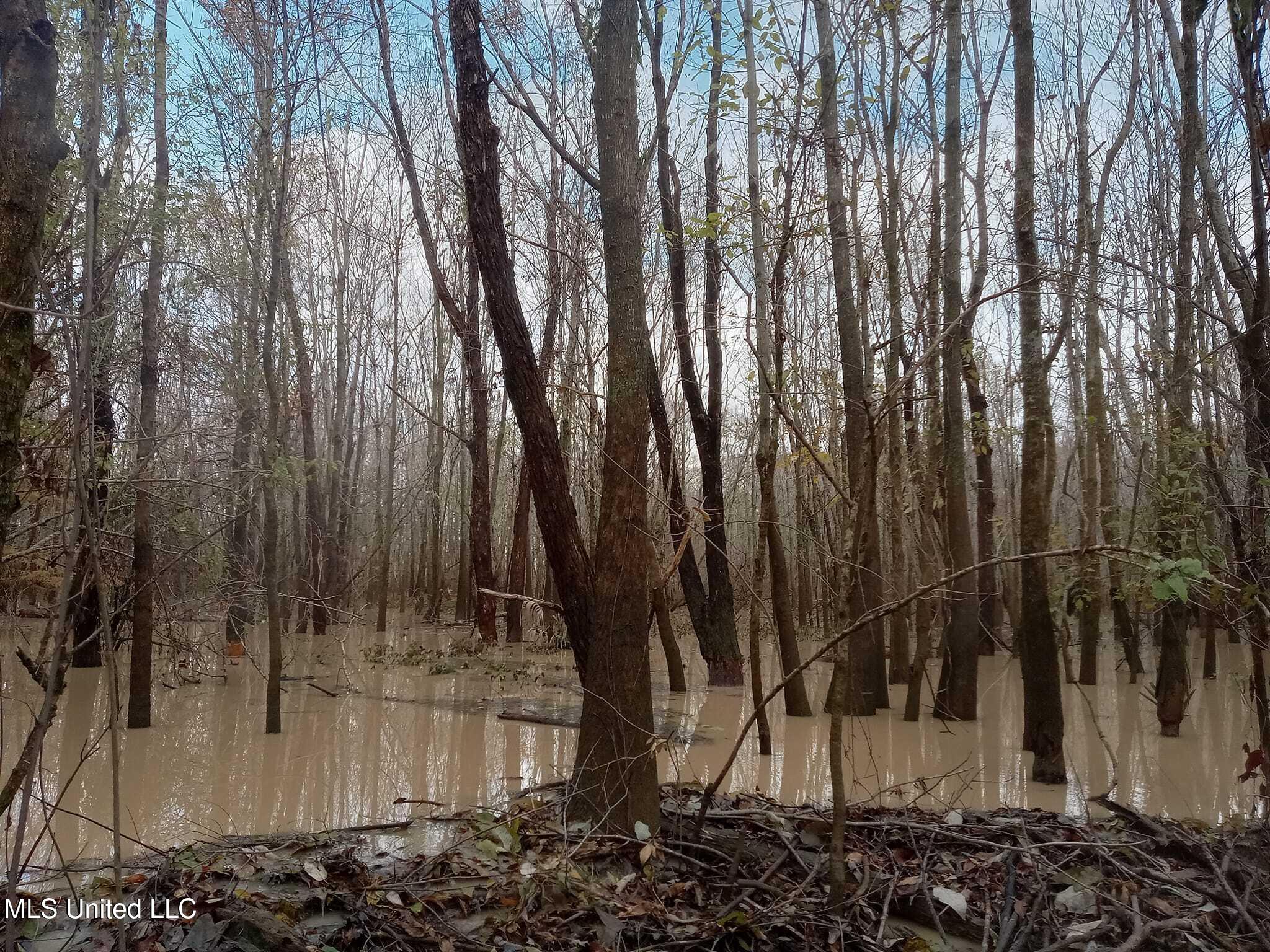 237 King Williams Road Indianola, MS 38751 - Photo 8 of 20 37 - 8