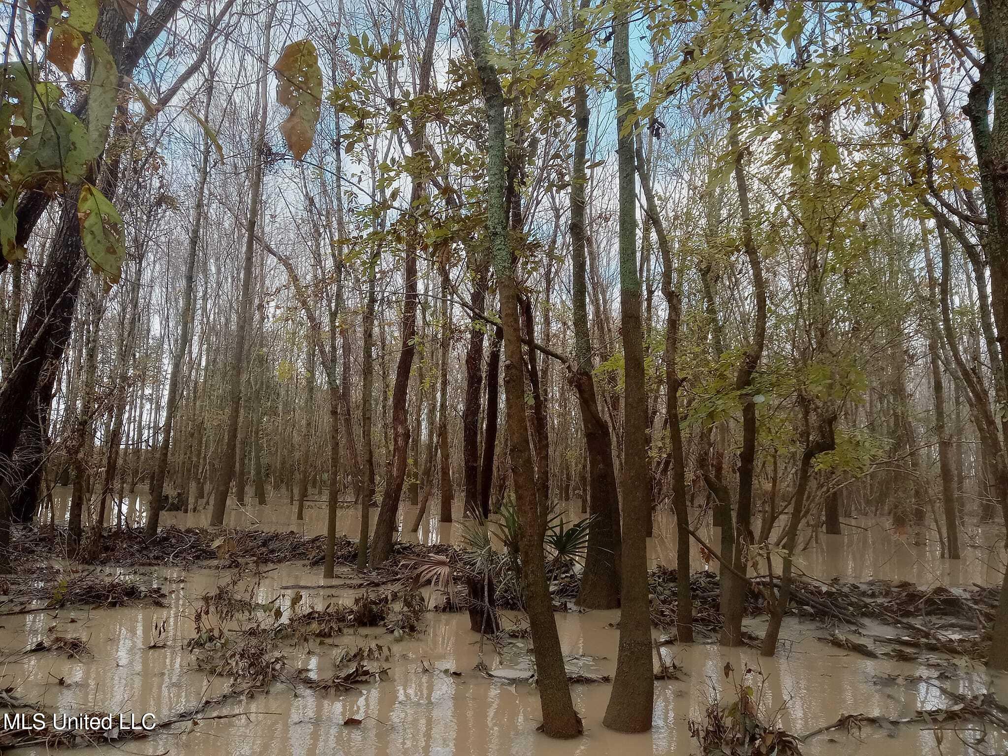 237 King Williams Road Indianola, MS 38751 - Photo 9 of 20 37 - 9