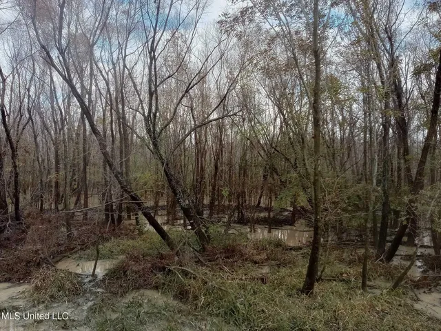 $142,500 | 237 King Williams Road, Indianola, MS 38751