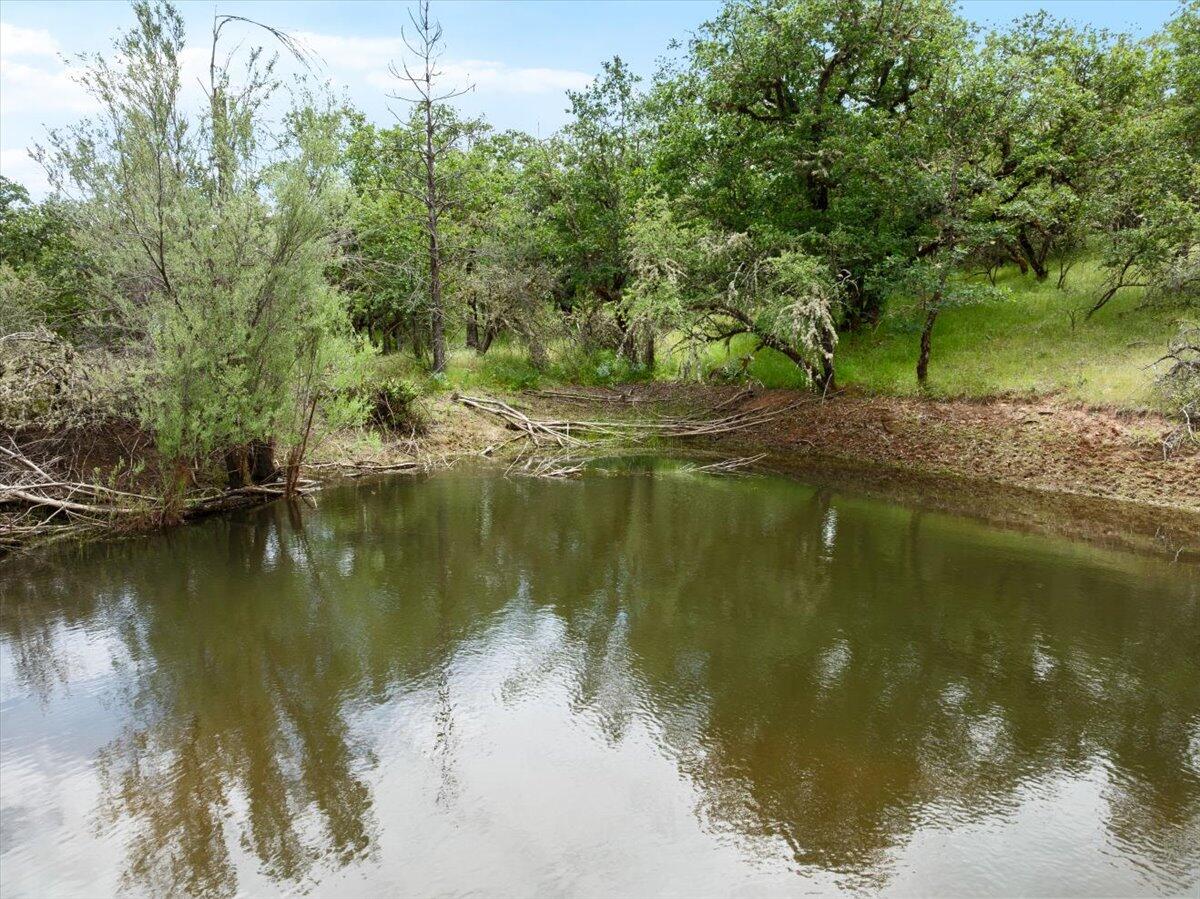 13235 Perry Road White City, OR 97503 - Photo 30 of 39 Seasonal Pond
