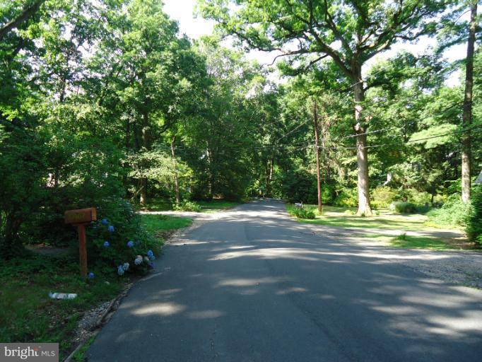 10407 Rodney Road Silver Spring, MD 20903 - Photo 2 of 9 a view of a street with a trees
