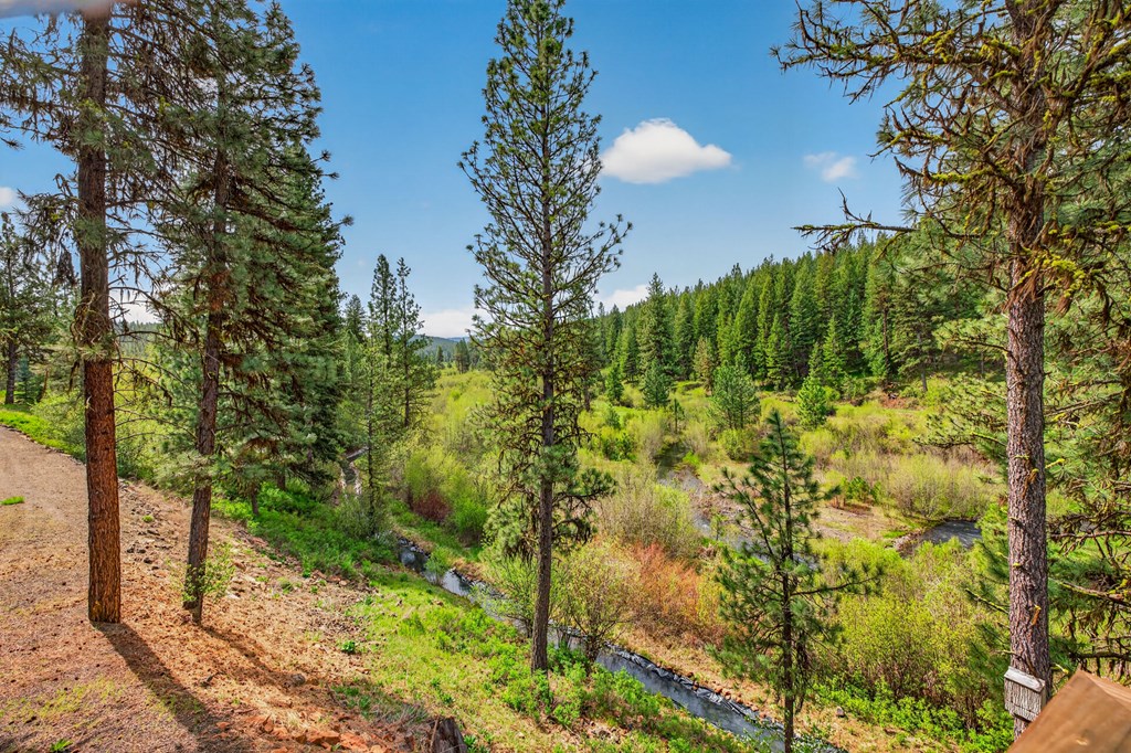 3293 Big Creek Road New Meadows, ID 83654 - Photo 109 of 122