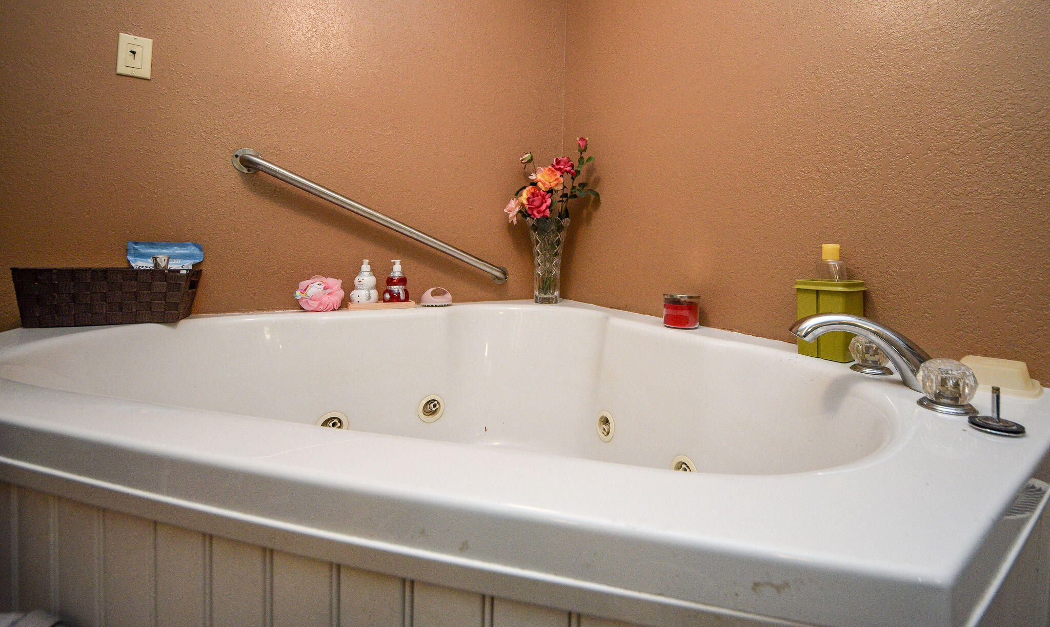 571 Randolph Lane Decatur, TN 37322 - Photo 35 of 54 DSC_2468