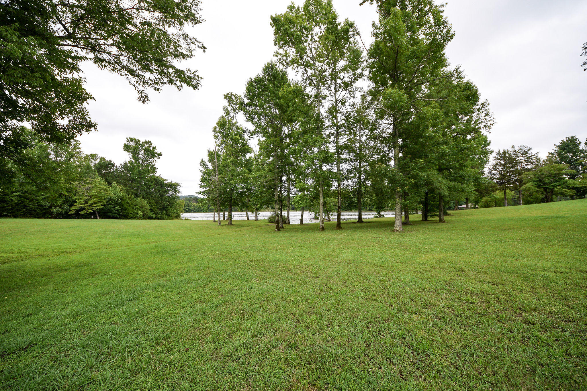 571 Randolph Lane Decatur, TN 37322 - Photo 49 of 54 DSC_2375