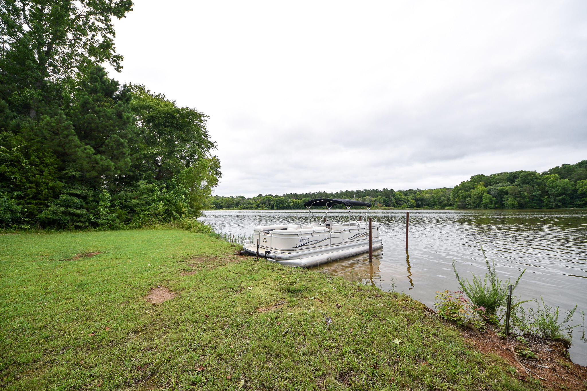 571 Randolph Lane Decatur, TN 37322 - Photo 53 of 54 DSC_2393