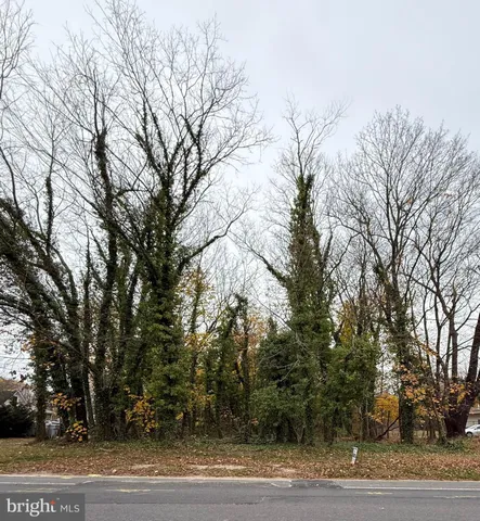 a view of a yard with large trees