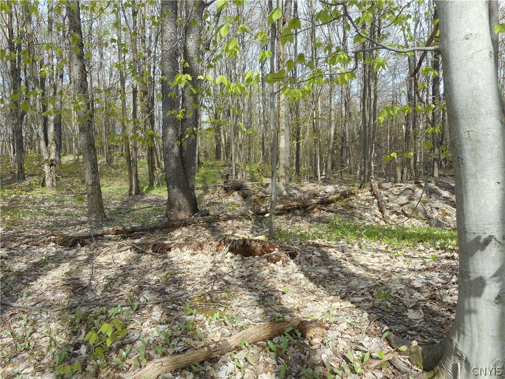 0 Kerber Road Ava, NY 13303 - Photo 1 of 24 Gallery Image 1