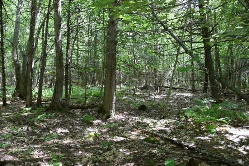 999 Smith Road Anson, ME 04911 - Photo 6 of 7 DSC_0035