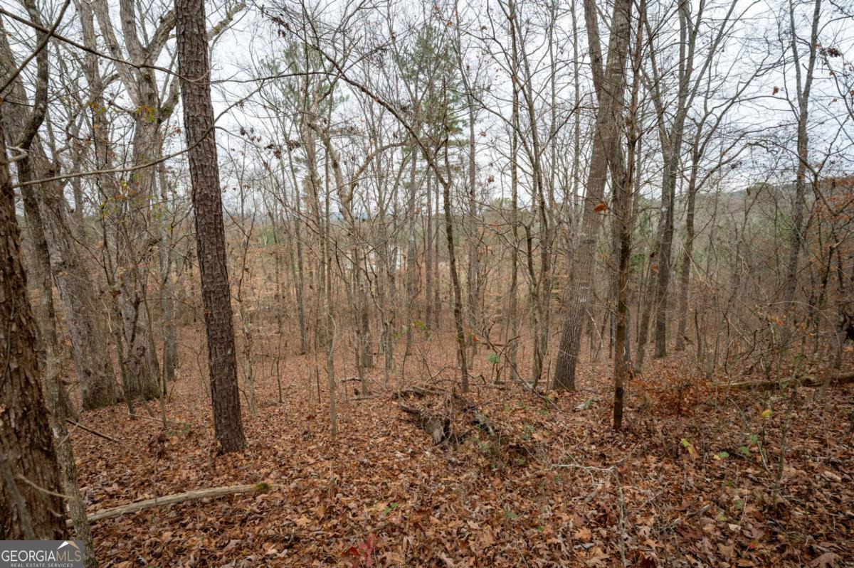 0 Marlene Drive Northeast Rome, GA 30165 - Photo 7 of 8 a view of a backyard