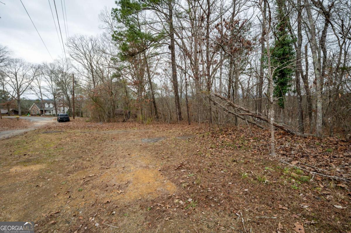 0 Marlene Drive Northeast Rome, GA 30165 - Photo 8 of 8 a view of a yard with trees