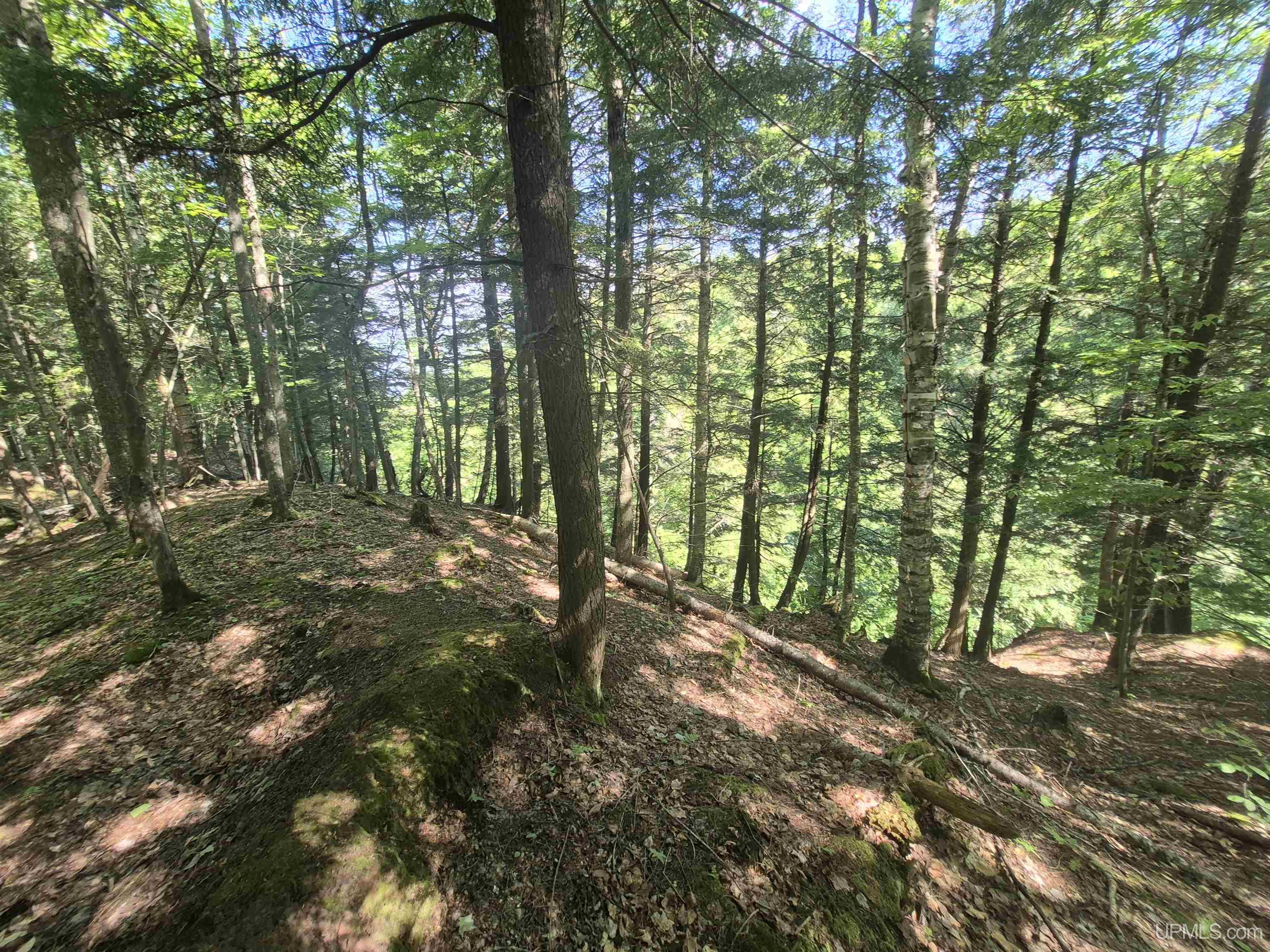8-acres Nestor Road Munising, MI 49862 - Photo 38 of 43