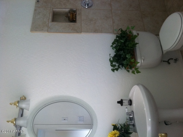3447 West Redfield Road Phoenix, AZ 85053 - Photo 7 of 15 master bath