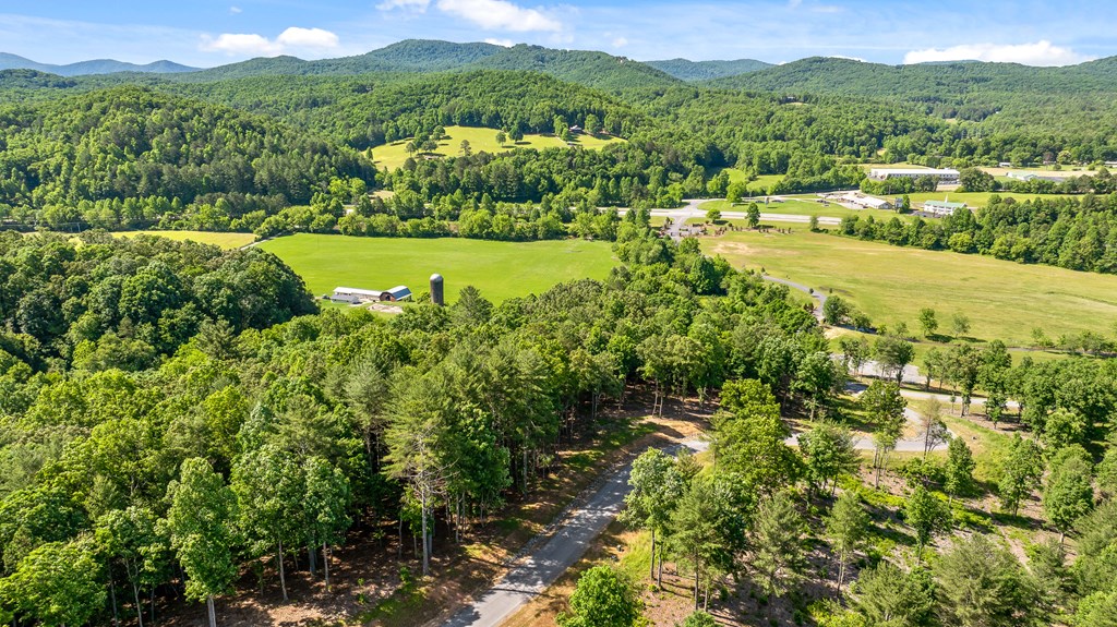 Lot 4 Ridge Drive Morganton, GA 30560 - Photo 7 of 23 Gallery Image 7