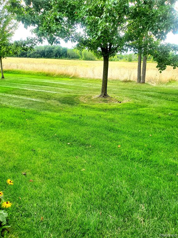50745 Raintree Circle Chesterfield, MI 48047 - Photo 17 of 17