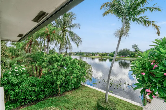 a view of a living room and floor to ceiling window with wooden floor