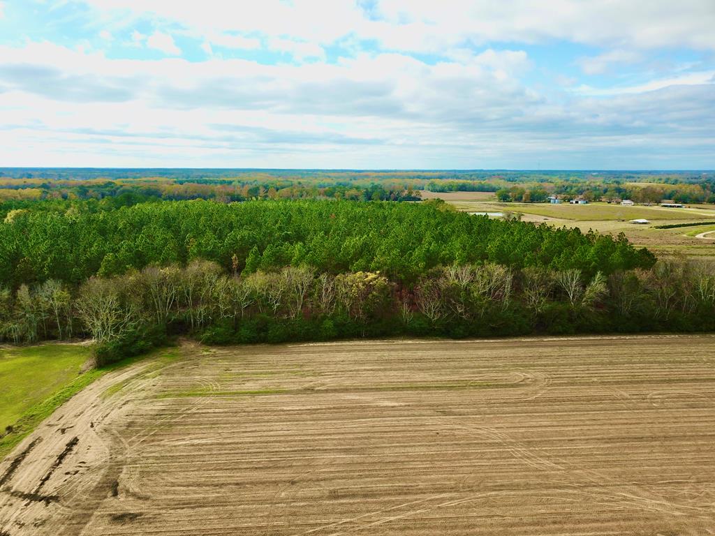 3.42-acres Summer Road Slocomb, AL 36375 - Photo 14 of 24
