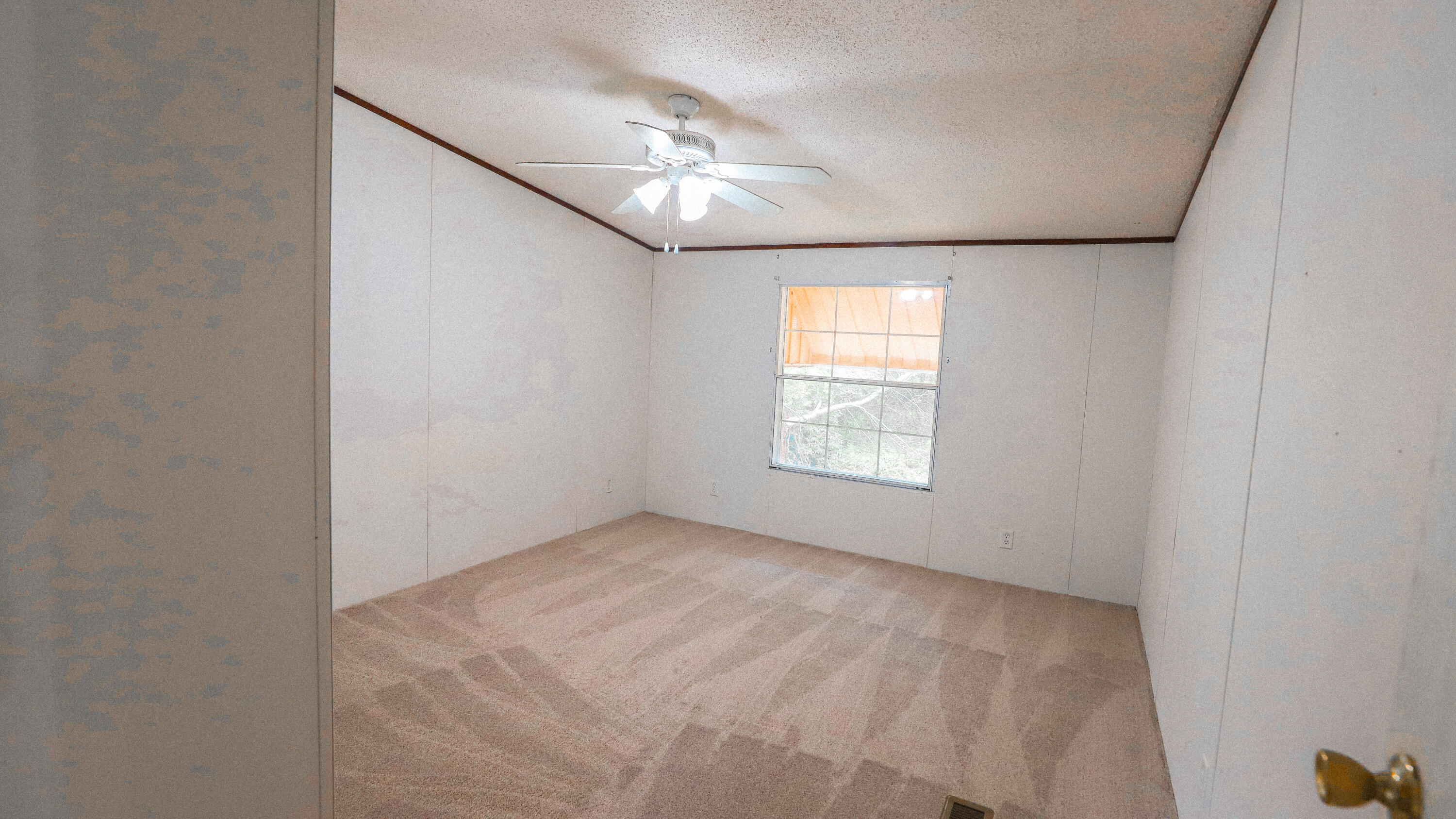 459 Holiness Church Road Wagener, SC 29164 - Photo 18 of 23 Gallery Image 18