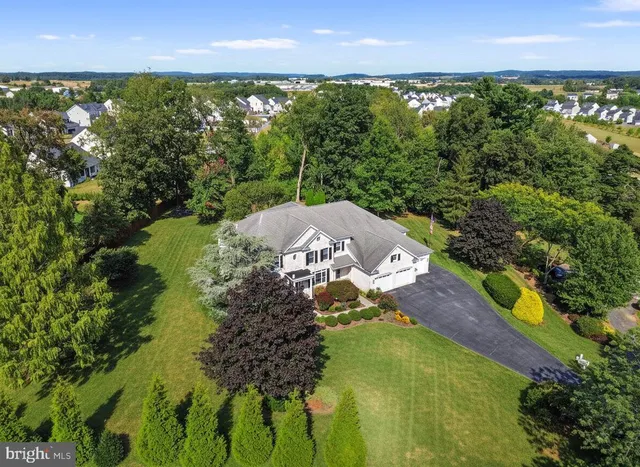 a big yard with lots of green space and plants