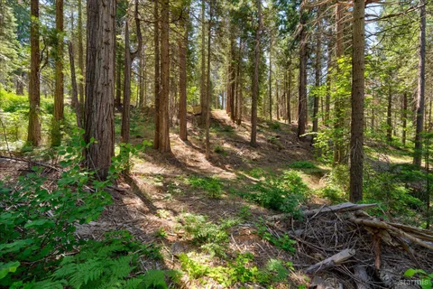 $349,000 | 47824 Brammer-Purl Road, Oakhurst, CA 93644