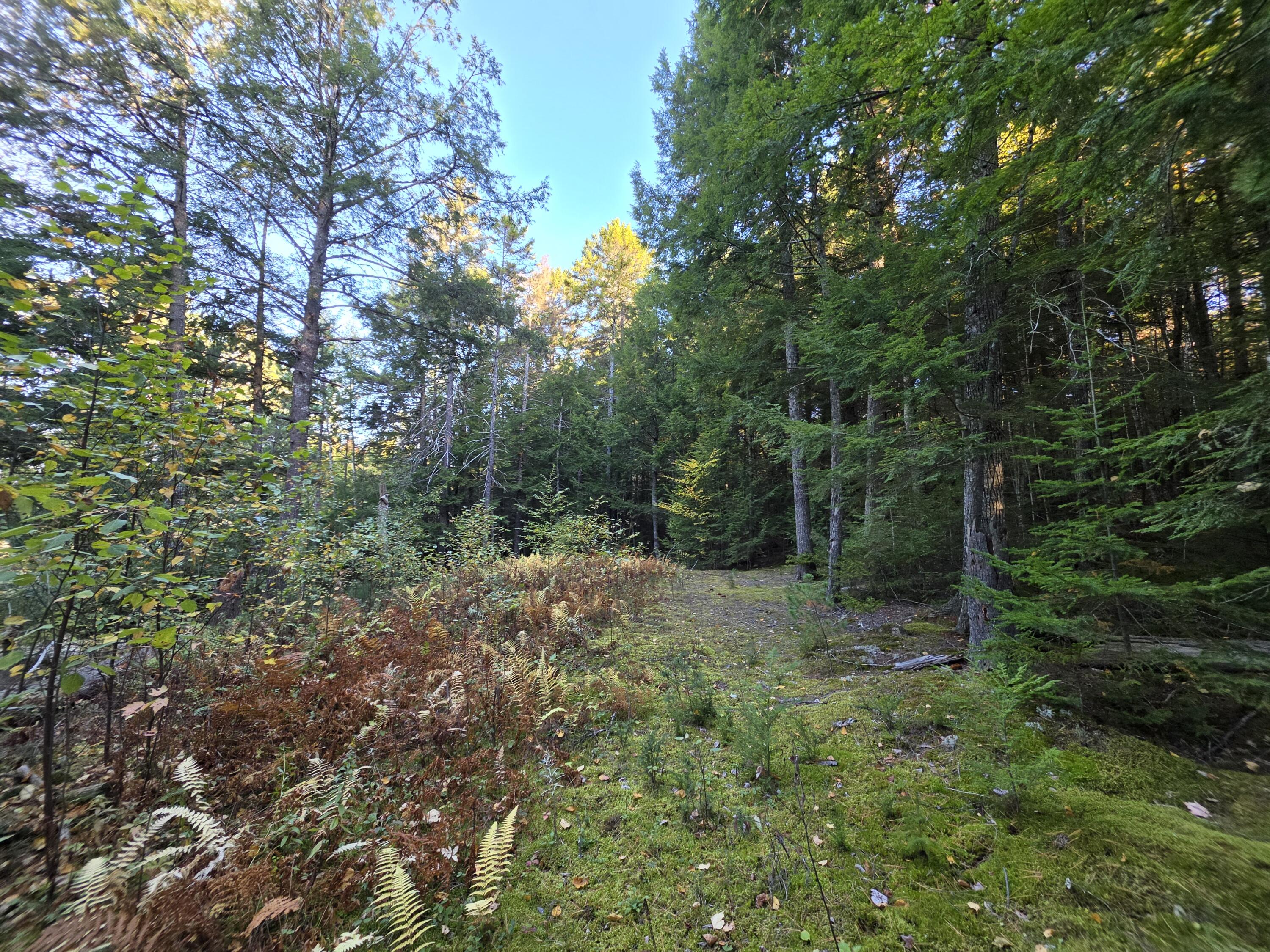 Lot 3 East Shore Road Lakeville, ME 04487 - Photo 59 of 59 20261007_074852