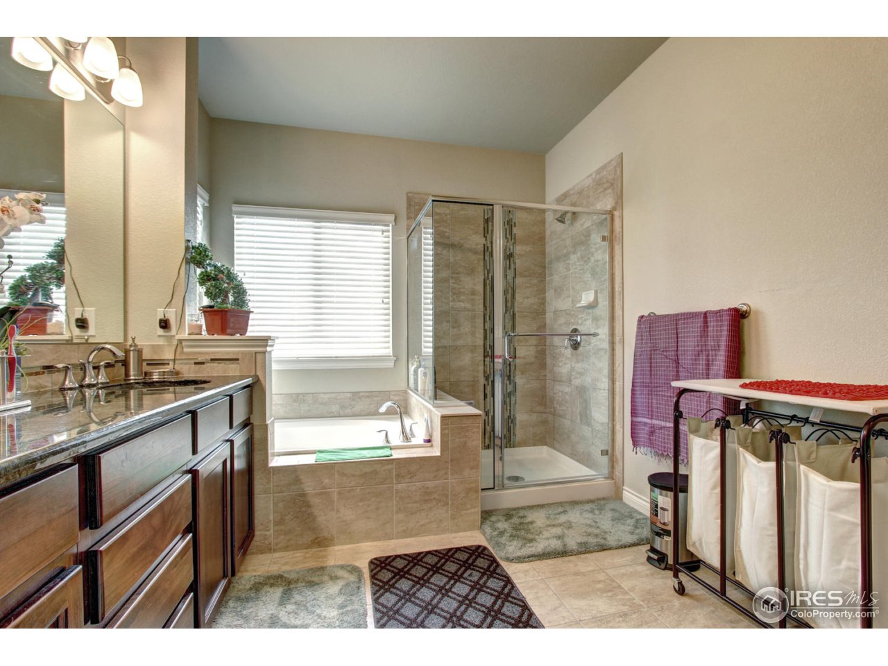 2326 Trestle Road Fort Collins, CO 80525 - Photo 14 of 23 Gallery Image 14