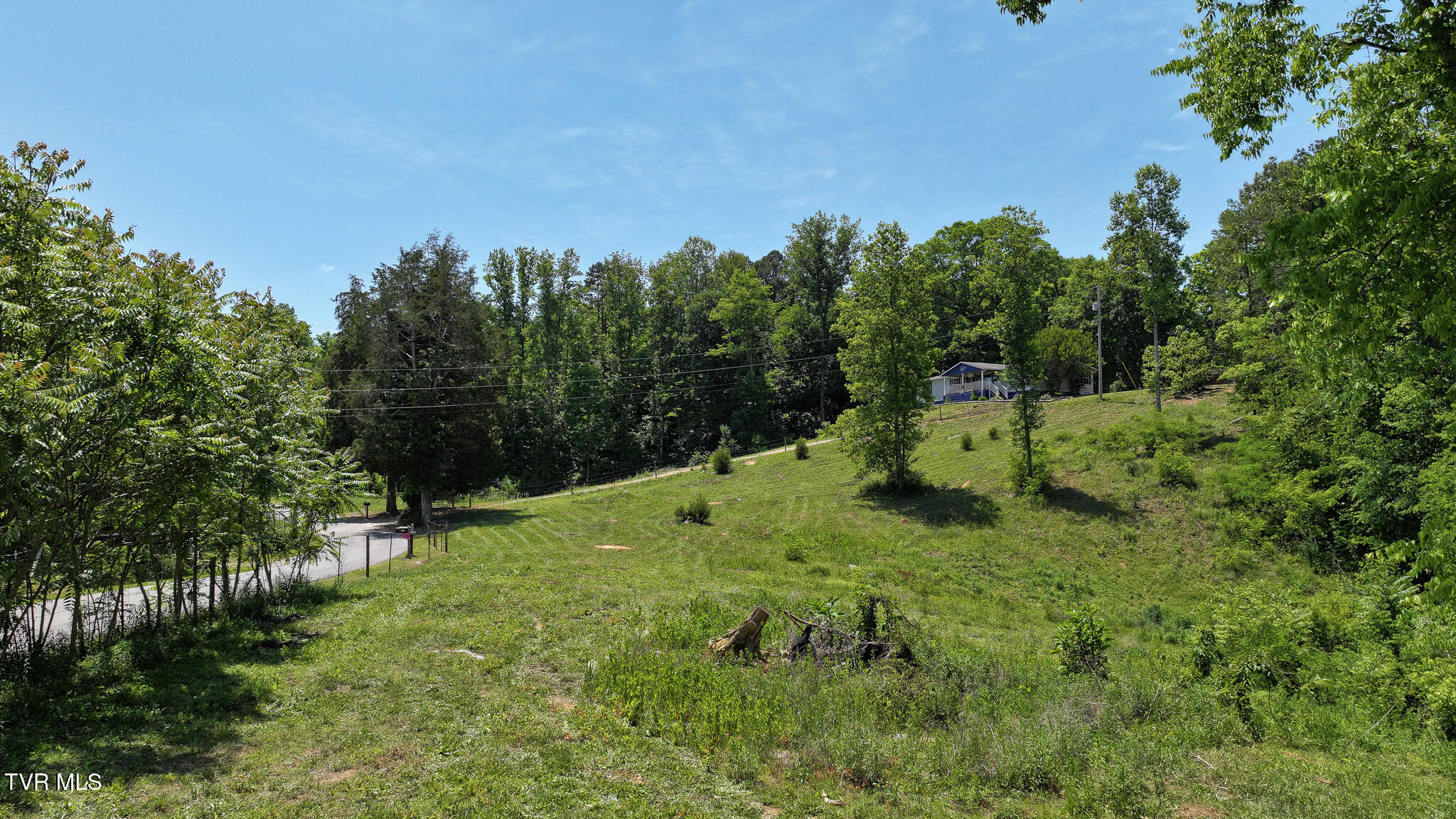 1475 Davis Valley Road Afton, TN 37616 - Photo 50 of 67 50