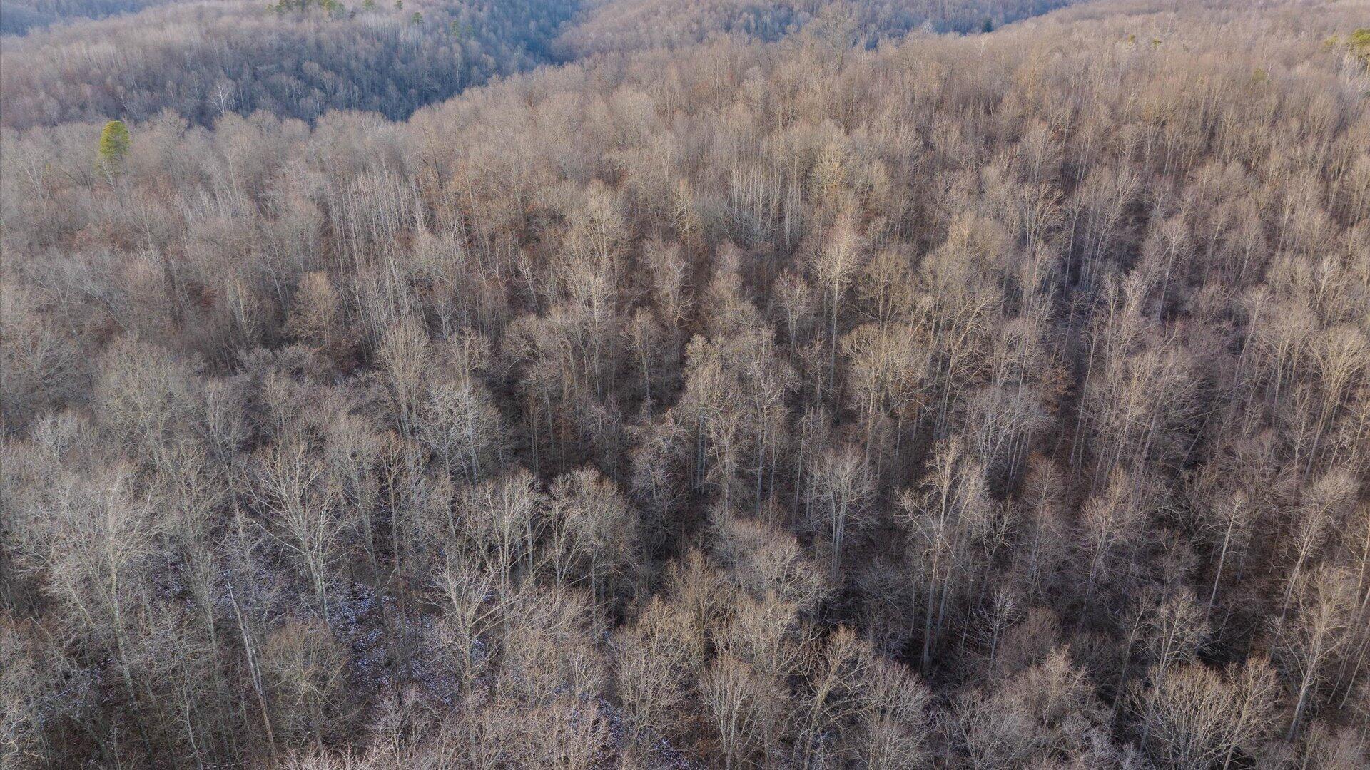 31201 Claypool Hollow Road McArthur, OH 45651 - Photo 77 of 89 084-z 31201 Claypool118