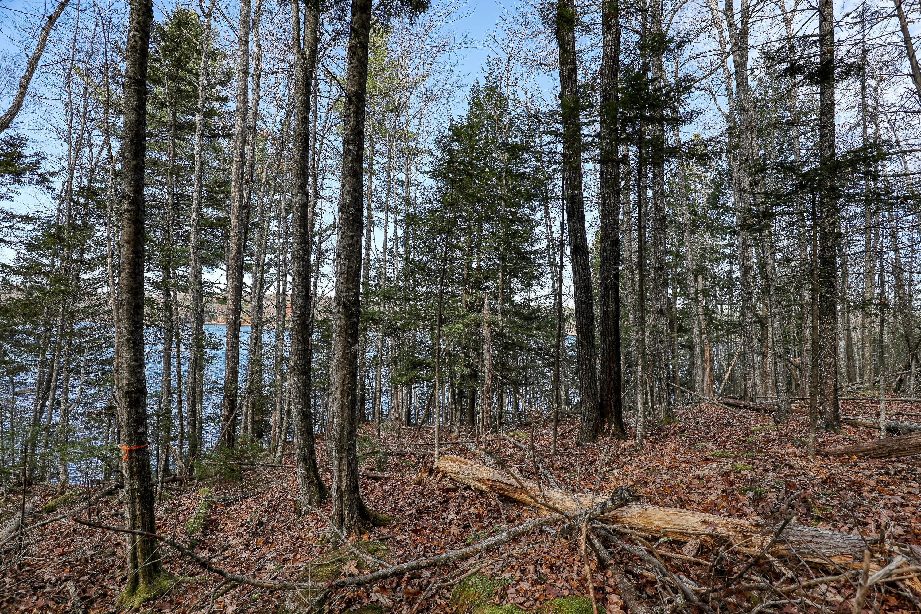 5 Newbury Neck Road Surry, ME 04684 - Photo 3 of 7